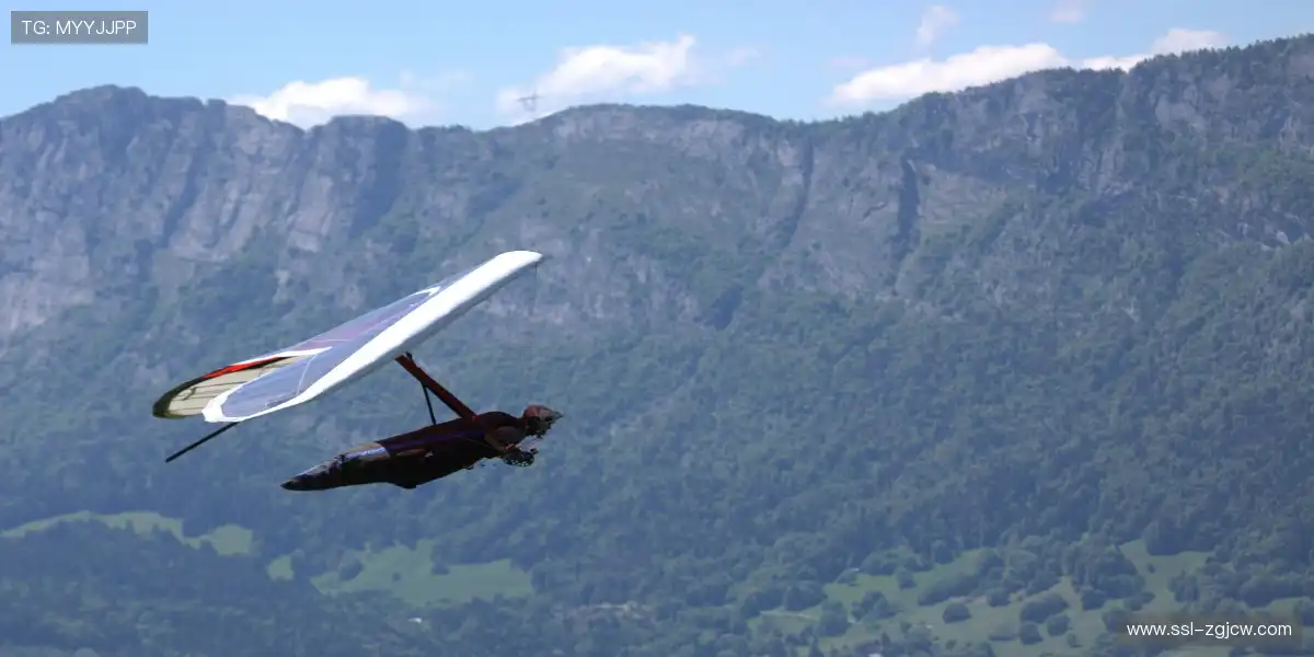 🏟️ 赛场主题夜全城狂欢，一起嗨到天亮！🎆